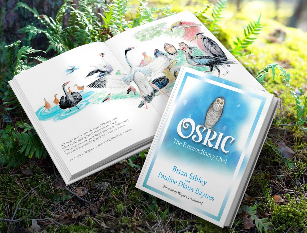 Photograph showing the cover of 'Osric the Extraordinary Owl', with a lovely grey and white owl against a blue, starry sky. Also shown is a two page spread inside the book, with an illustration of many varied birds.
